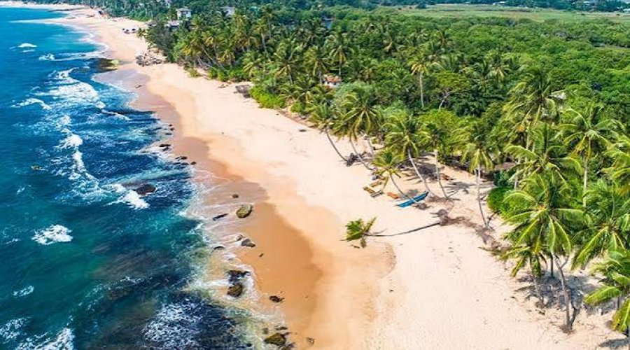 Southern Beaches & Wildlife Journey