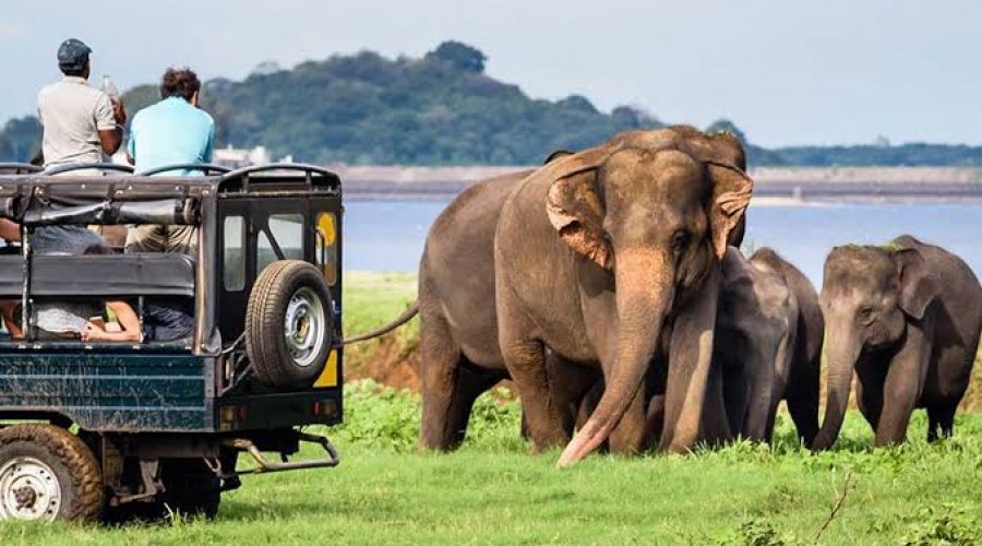 Ultimate Sri Lanka Adventure of Beaches Wildlife Ancient Kingdoms & Cultural Wonders gallery main